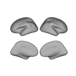 Tutorial 2: Types of Surfaces